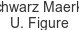 schwarz-maerkte-u-figure