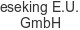 gieseking-e-u-w-gmbh