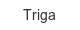 triga