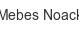 mebes-noack
