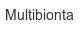 multibionta