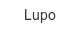 lupo