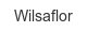 wilsaflor