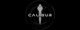 calibur11