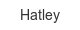 hatley