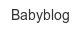babyblog