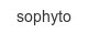 sophyto