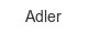 adler