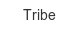 tribe