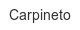 carpineto