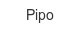 pipo