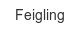 feigling