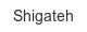 shigateh