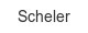 scheler