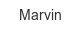 marvin