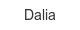 dalia