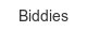 biddies