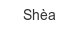 shea