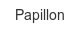 papillon
