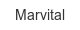marvital