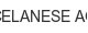 celanese-ag