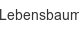 lebensbaum