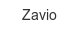 zavio