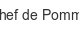 chef-de-pomme