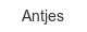antjes