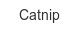 catnip