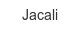 jacali