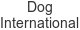 dog-international