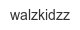 walzkidzz
