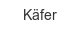 kaefer