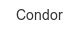 condor