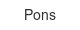 pons