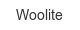 woolite