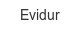 evidur