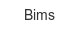 bims