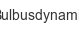 bulbusdynamik