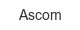 ascom