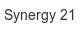 synergy-21