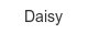 daisy
