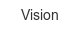 vision
