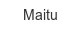 maitu