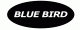 blue-bird
