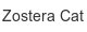 zostera-cat