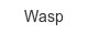 wasp