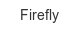 firefly