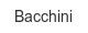 bacchini